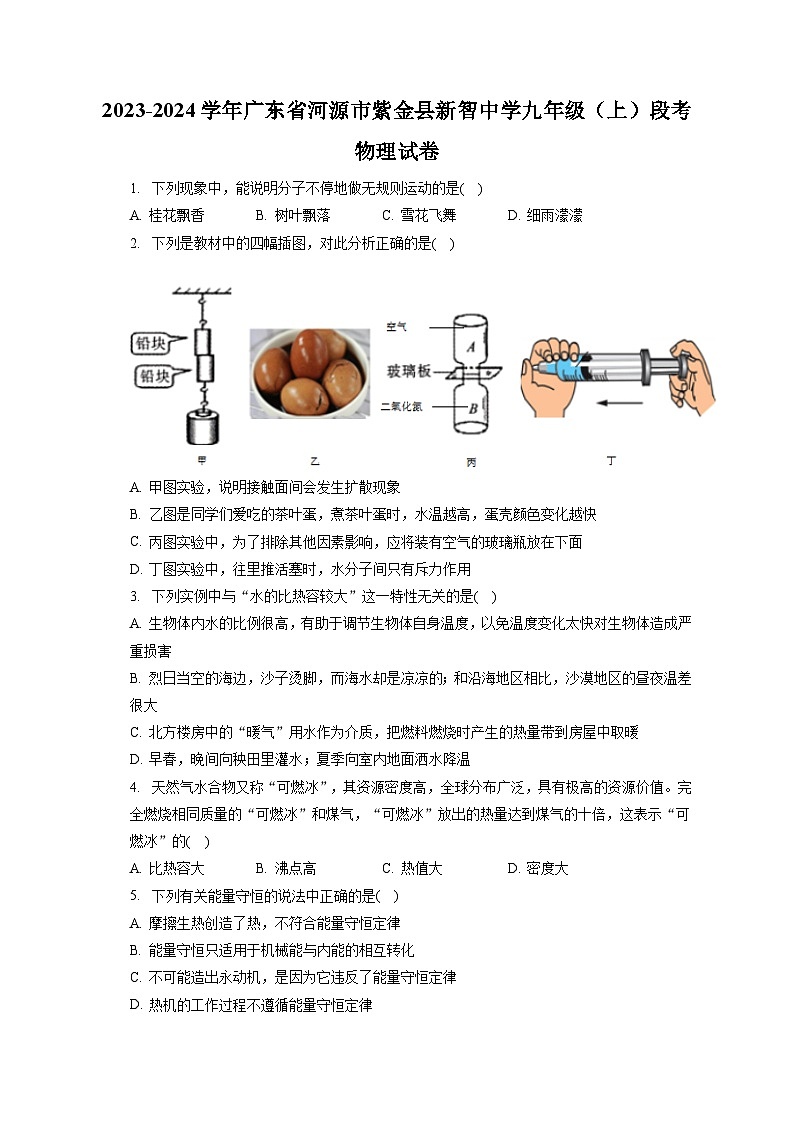 广东省河源市紫金县新智中学2023-2024学年九年级上学期阶段测试物理试卷第1页