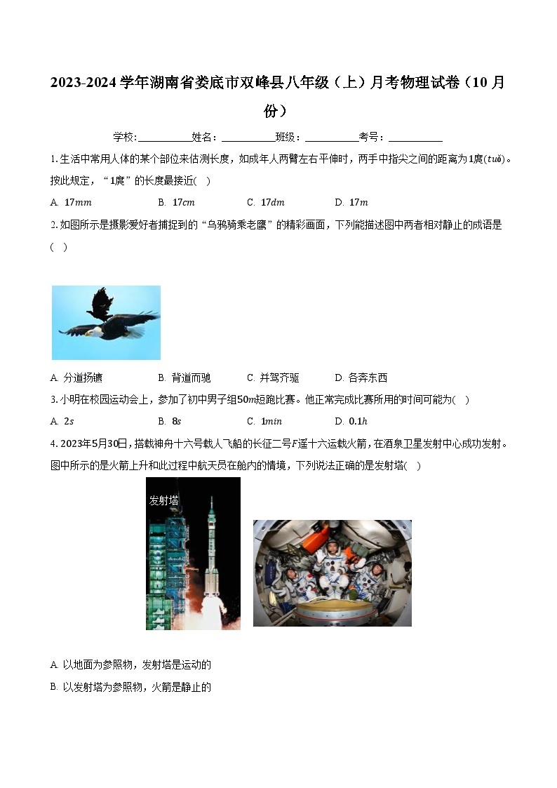 湖南省娄底市双峰县2023-2024学年八年级上学期10月月考物理试卷01