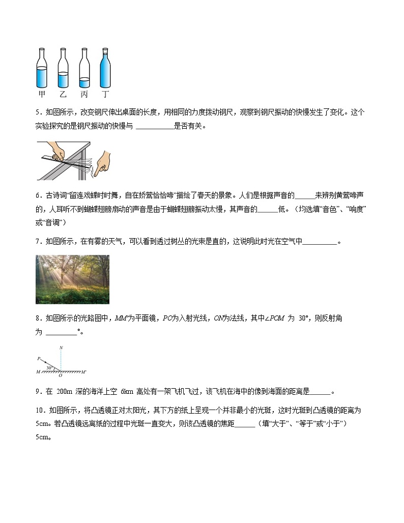期中模拟卷(考试版A4)(沪粤版)A4版第2页