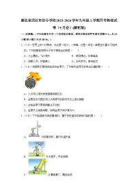 湖北省武汉市部分学校2023-2024学年九年级上学期月考物理试卷(9月份)