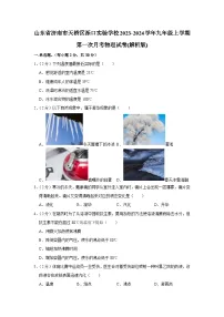 山东省济南市天桥区泺口实验学校2023-2024学年九年级上学期第一次月考物理试卷