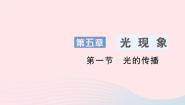北师大版八年级上册一 光的传播作业ppt课件