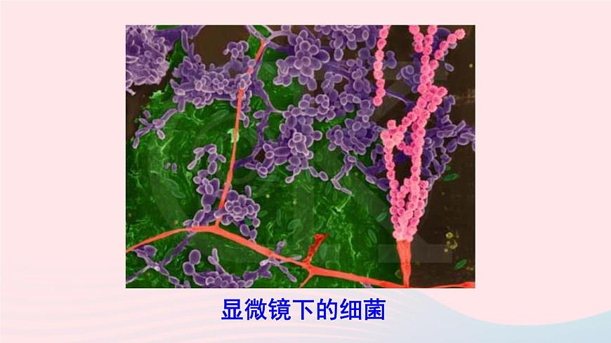 第5節(jié) 顯微鏡和望遠(yuǎn)鏡第8頁(yè)