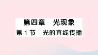 初中物理人教版八年级上册第1节 光的直线传播作业ppt课件