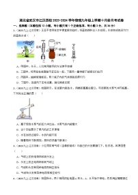 湖北省武汉市江汉四校2023-2024学年物理九年级上学期十月份月考试卷
