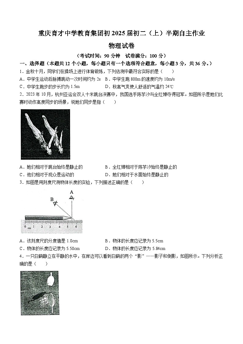重庆市九龙坡区重庆市育才中学校2023-2024学年八年级上学期期中物理试题(无答案)01
