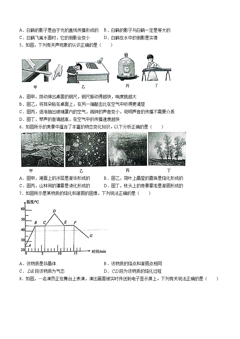 重庆市九龙坡区重庆市育才中学校2023-2024学年八年级上学期期中物理试题(无答案)02
