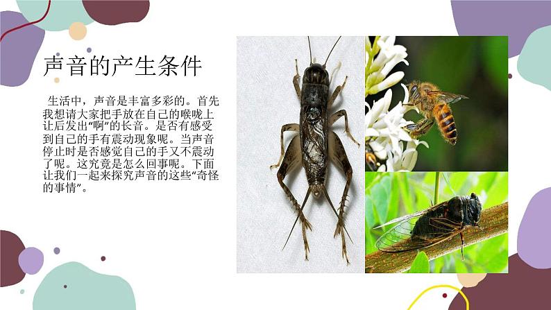 人教版物理八年级上册2.1声音的产生与传播课件第3页