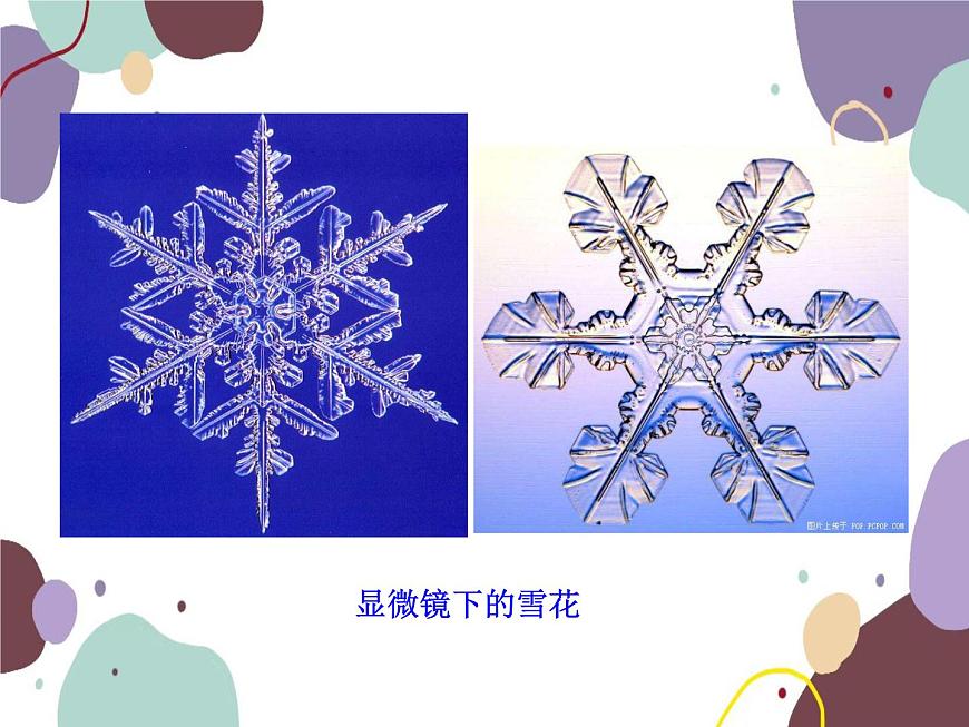 人教版物理八年級(jí)上冊(cè)5.5顯微鏡和望遠(yuǎn)鏡課件第3頁