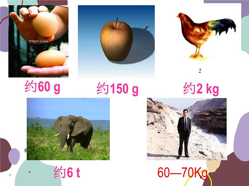 人教版物理八年級(jí)上冊6.1質(zhì)量課件第6頁