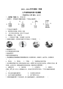 海南省海口市丰南中学2023-2024学年九年级上学期期中检测物理试题