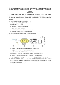 山东省泰安市宁阳县2023-2024学年九年级上学期期中物理试卷