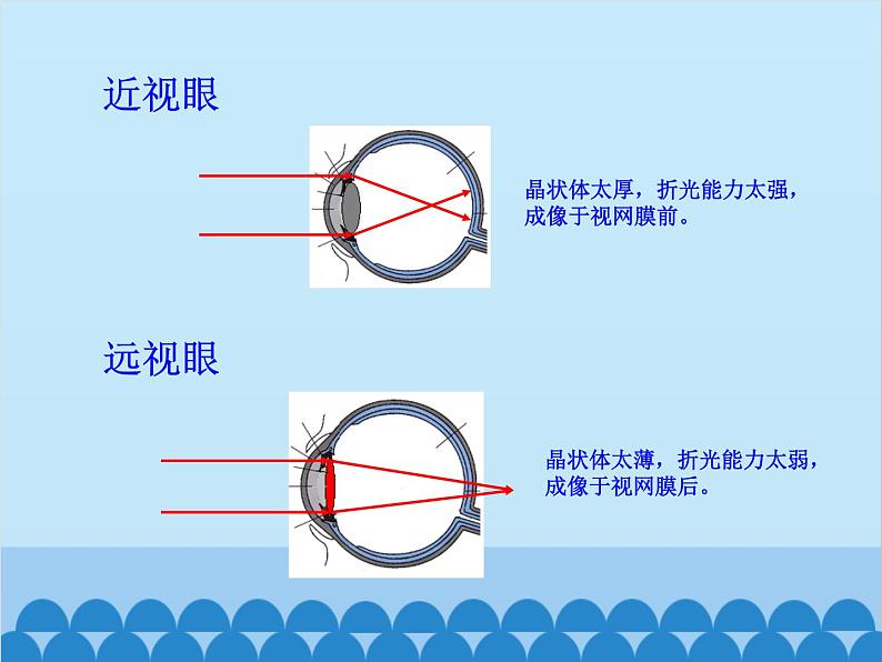 沪科版物理八年级上册 第四章第六节 神奇的眼睛课件第7页