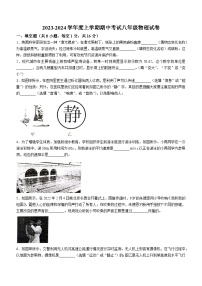 江西省抚州市东乡区2023-2024学年八年级上学期11月期中物理试题