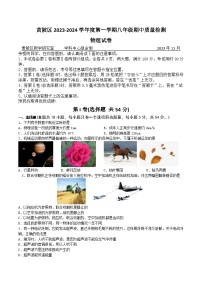 湖北省武汉市黄陂区2023-2024学年八年级上学期11月期中物理试题