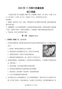 广东省深圳市罗湖区2023-2024 学年九年级上学期期中联考物理试卷