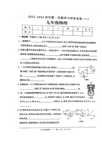 河南省周口市郸城县2023-2024学年九年级上学期11月月考物理试题
