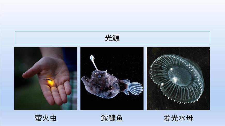滬粵版物理八年級上冊 3.1 光世界巡行課件第7頁