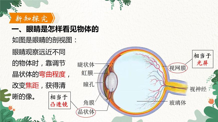 滬粵版物理八年級(jí)上冊(cè) 3.7 眼睛與光學(xué)儀器課件第5頁(yè)