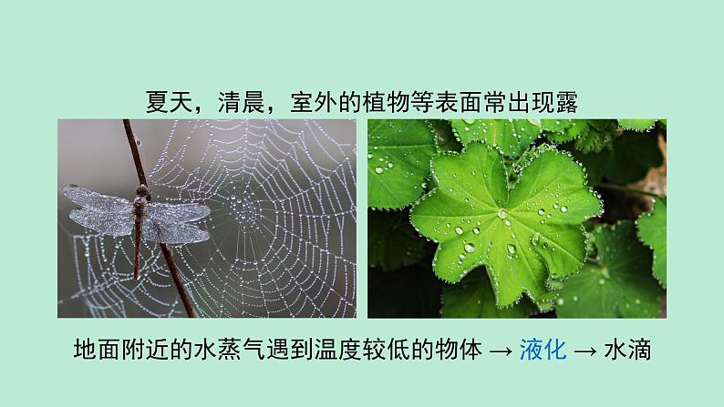 沪粤版物理八年级上册 4.5 水循环与水资源课件07