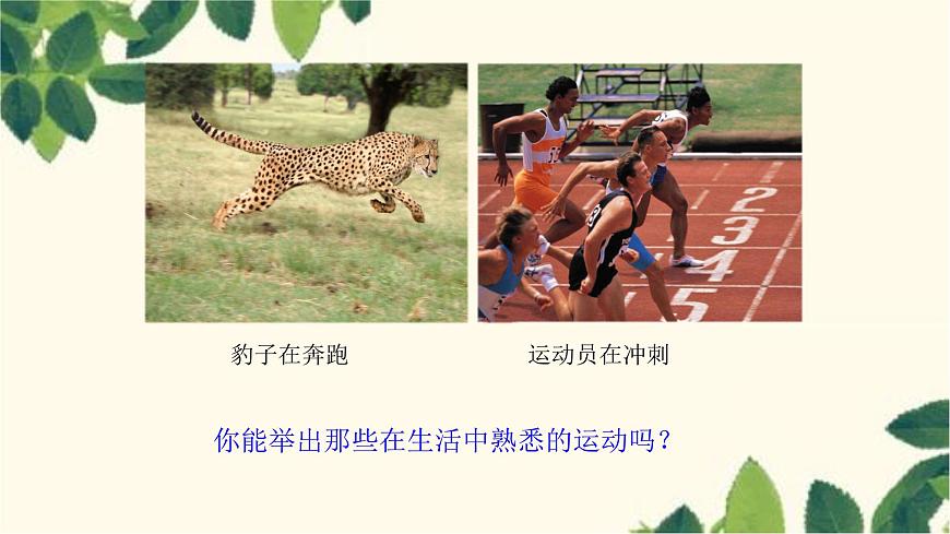 滬教版物理八年級(jí)上冊(cè) 第二章  運(yùn)動(dòng)的世界1.第一節(jié)  動(dòng)與靜 課件第5頁(yè)