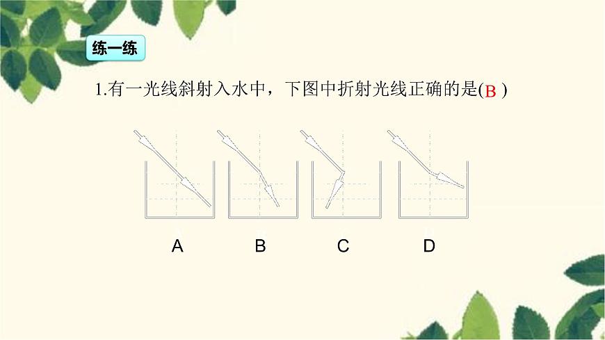 滬教版物理八年級(jí)上冊(cè) 第四章  多彩的光3.第三節(jié)  光的折射 課件第8頁(yè)