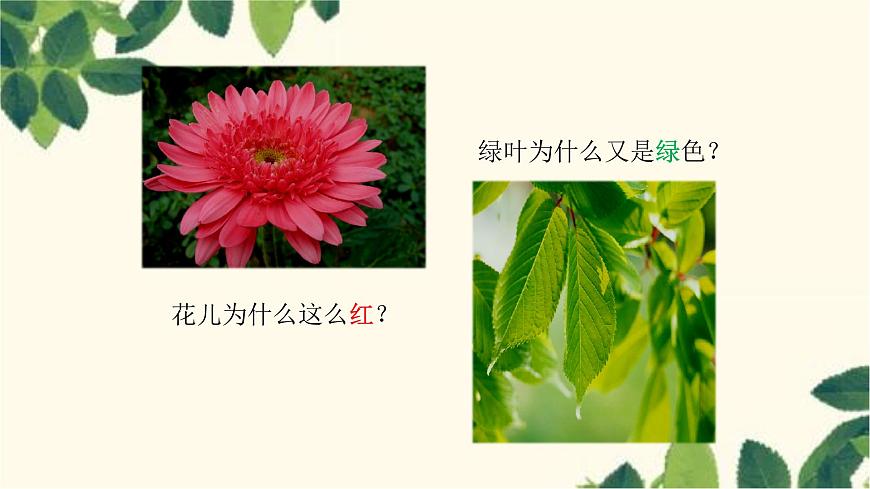 滬教版物理八年級(jí)上冊(cè) 第四章 多彩的光4.第四節(jié) 光的色散 課件第4頁(yè)