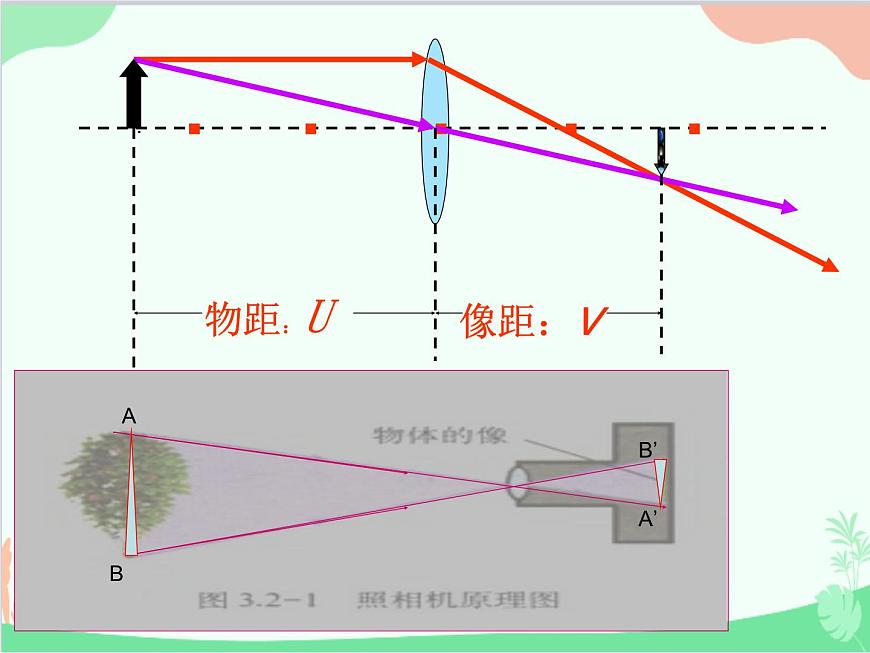 人教版物理八年級(jí)上冊(cè) 第5章第4節(jié) 眼睛和眼鏡課件第3頁(yè)