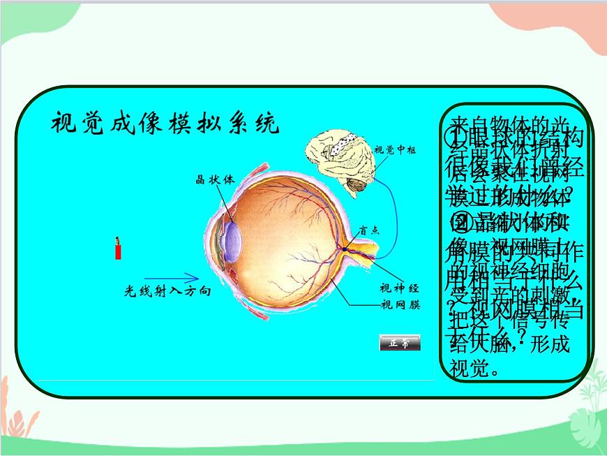 人教版物理八年級(jí)上冊(cè) 第5章第4節(jié) 眼睛和眼鏡課件第7頁(yè)