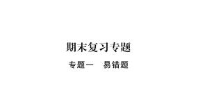 教科版物理八年级上册专题一易错题课件