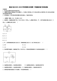 黑龙江省2023-2024学年物理九年级第一学期期末复习检测试题