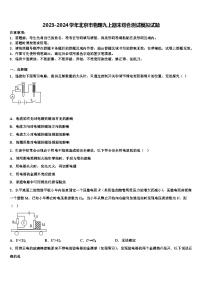 2023-2024学年北京市物理九上期末综合测试模拟试题
