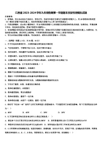 江西省2023-2024学年九年级物理第一学期期末质量检测模拟试题