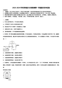 2023-2024學(xué)年貴州省九年級(jí)物理第一學(xué)期期末統(tǒng)考試題