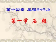 九年级物理 14.1压强课件 人教新课标版