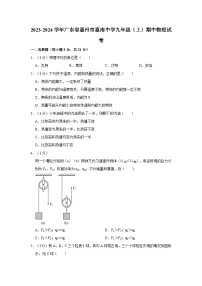 广东省惠州市惠南学校2023-2024学年九年级上学期期中考试物理试卷