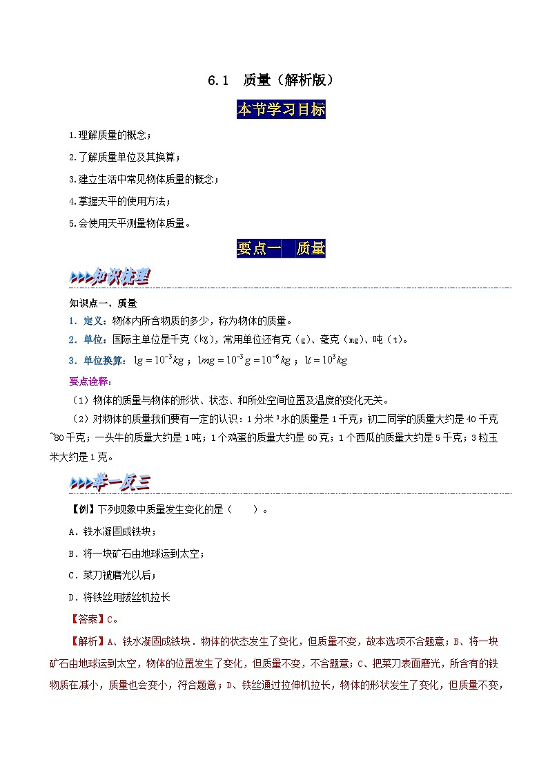 6.1 质量-2023-2024学年八年级物理上册精品讲练测(人教版)01