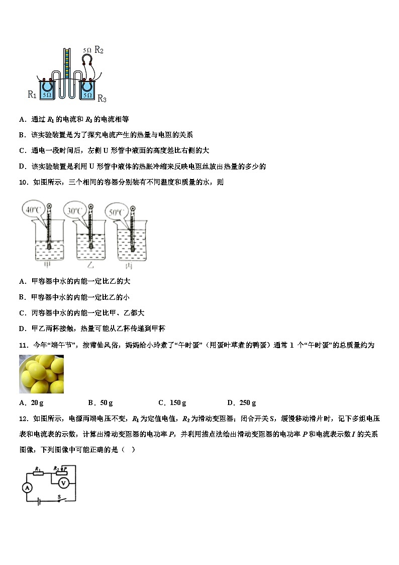 2024届安徽省物理九年级第一学期期末质量跟踪监视试题03