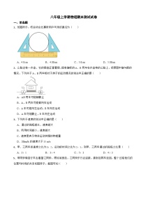 湖南省衡阳市2023年八年级上学期物理期末测试试卷附答案