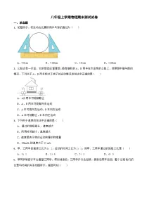 湖南省衡阳市2023年八年级上学期物理期末测试试卷附答案