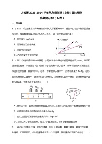 【期末复习】人教版2023-2024学年八年级物理（上册）期末预测高频复习题（A卷）附答案