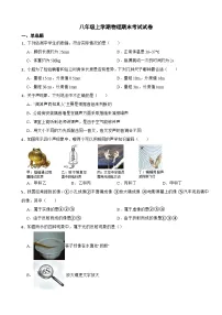 广东省阳江市2023年八年级上学期物理期末考试试卷附答案