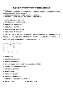 黑龙江省2023年物理九年级第一学期期末达标检测试题