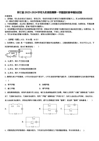 浙江省2023-2024学年九年级物理第一学期期末联考模拟试题