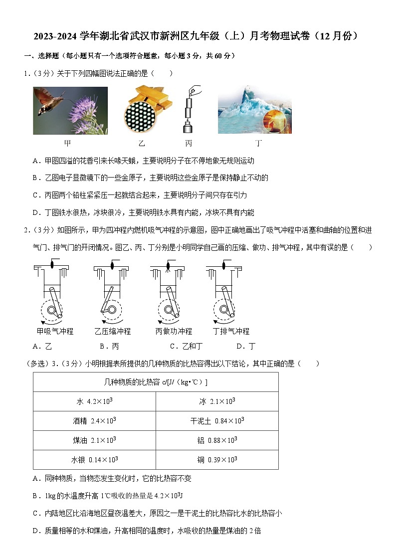 湖北省武汉市新洲区2023-2024学年九年级上学期12月月考物理试卷01