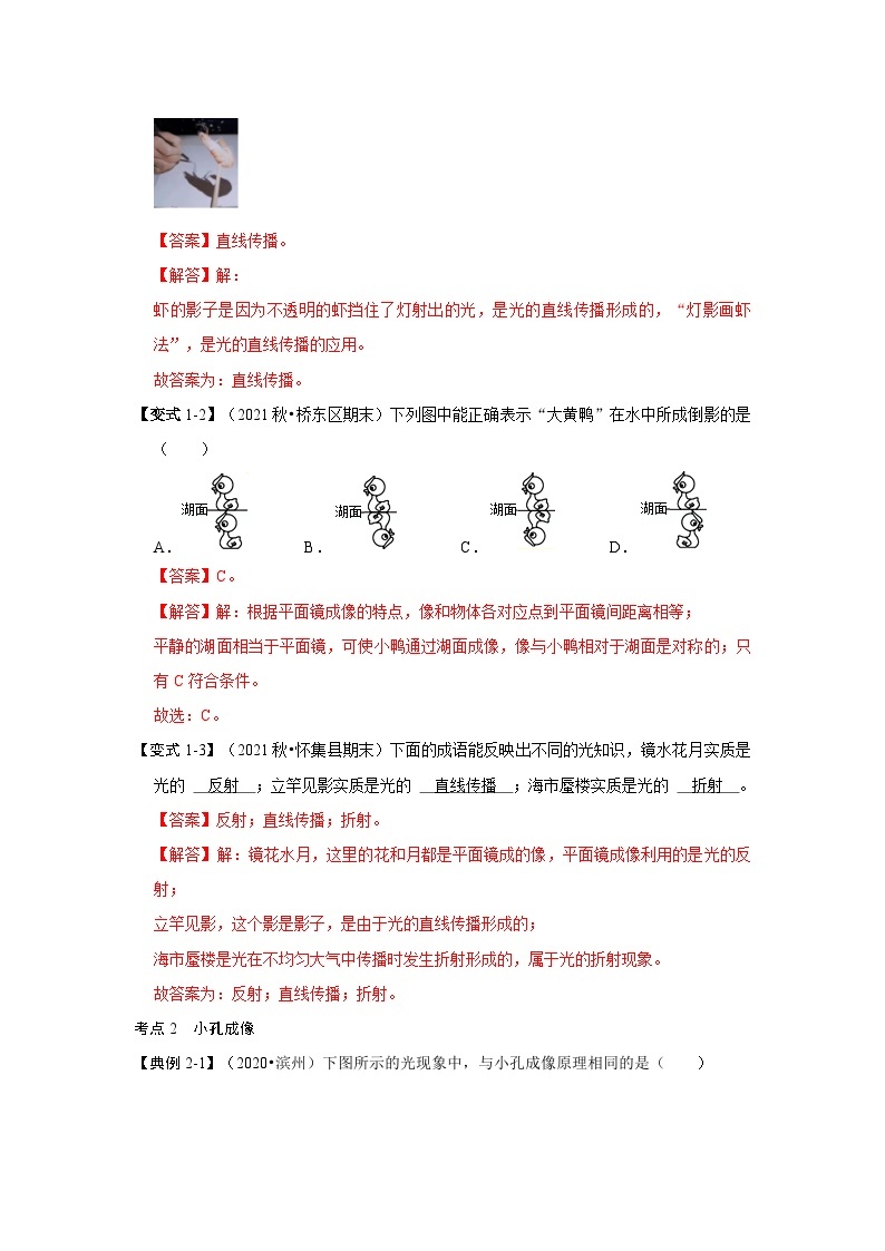 人教版八年级物理上册同步考点专题训练 专题08  光现象综合分析（原卷版+解析版）03