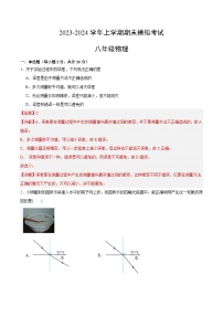 八年级物理期末模拟卷（新疆专用，人教版八年级上册）-2023-2024学年初中上学期期末模拟考试