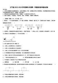 辽宁省2023-2024学年物理九年级第一学期期末联考模拟试题