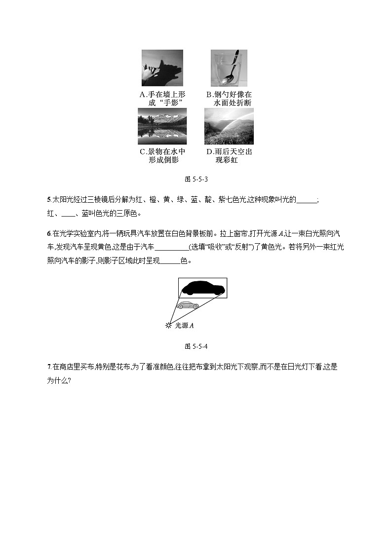北师大版八年级物理上册第五章光现象五物体的颜色练习含答案02