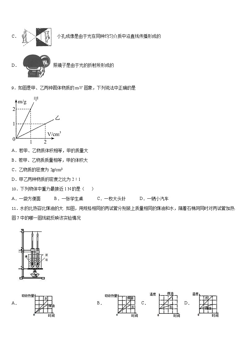 2023-2024学年吉林省农安县杨树林中学八年级物理第一学期期末统考模拟试题含答案第3页